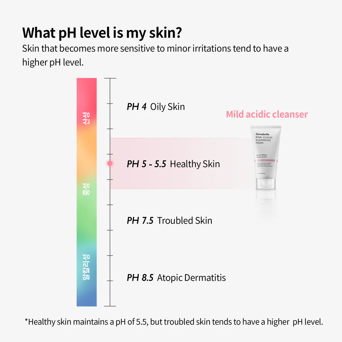 Pink Cloud Cleansing Foam