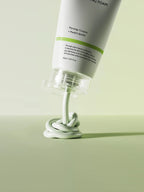 Phytology 17 Perfect Cleansing Foam